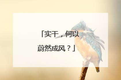 实干，何以蔚然成风？