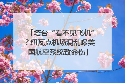 塔台“看不见飞机”？纽瓦克机场混乱曝美国航空系统致命伤