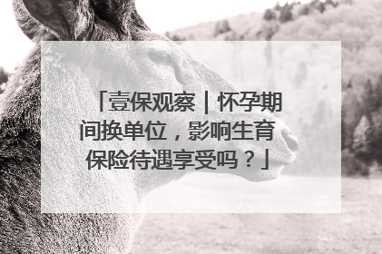 壹保观察｜怀孕期间换单位，影响生育保险待遇享受吗？