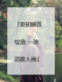 夏初睡莲绽放 一池清雅入画