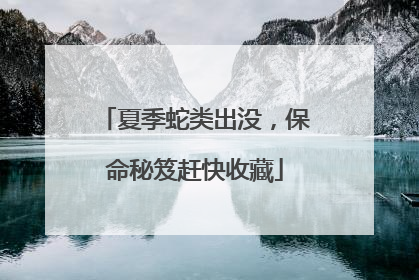 夏季蛇类出没，保命秘笈赶快收藏