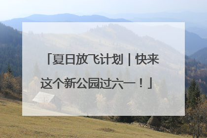 夏日放飞计划｜快来这个新公园过六一！