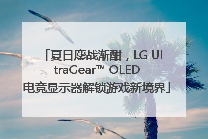 夏日鏖战渐酣，LG UltraGear™ OLED电竞显示器解锁游戏新境界