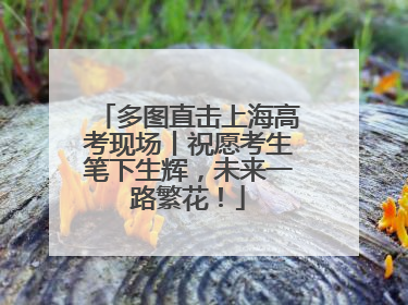 多图直击上海高考现场丨祝愿考生笔下生辉，未来一路繁花！