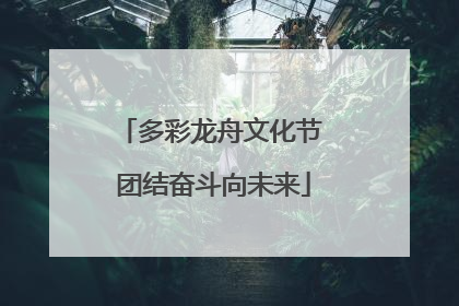 多彩龙舟文化节 团结奋斗向未来