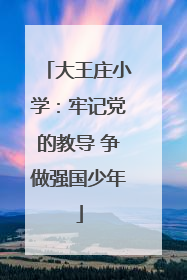 大王庄小学：牢记党的教导 争做强国少年