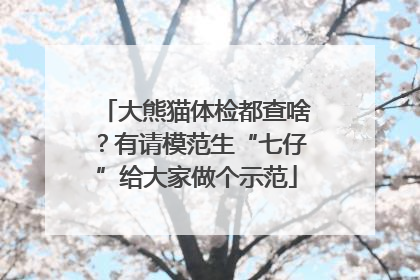 大熊猫体检都查啥？有请模范生“七仔”给大家做个示范