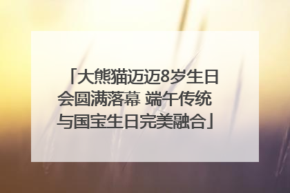 大熊猫迈迈8岁生日会圆满落幕 端午传统与国宝生日完美融合