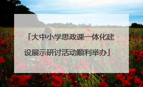 大中小学思政课一体化建设展示研讨活动顺利举办