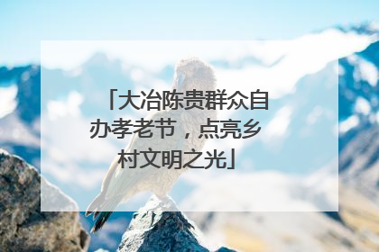 大冶陈贵群众自办孝老节，点亮乡村文明之光