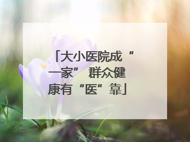 大小医院成“一家” 群众健康有“医”靠
