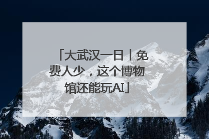 大武汉一日丨免费人少，这个博物馆还能玩AI