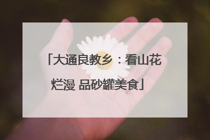 大通良教乡：看山花烂漫 品砂罐美食