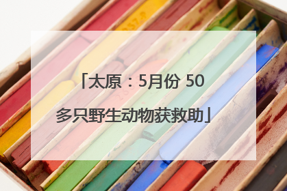 太原：5月份 50多只野生动物获救助