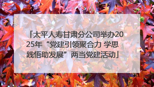 太平人寿甘肃分公司举办2025年“党建引领聚合力 学思践悟助发展”两当党建活动
