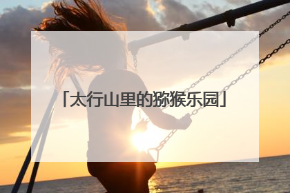 太行山里的猕猴乐园