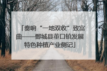 奏响“一地双收”致富曲——鄄城县董口镇发展特色种植产业侧记