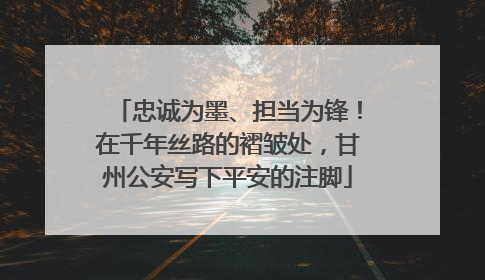 忠诚为墨、担当为锋！在千年丝路的褶皱处，甘州公安写下平安的注脚