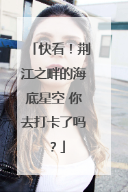 快看！荆江之畔的海底星空 你去打卡了吗？
