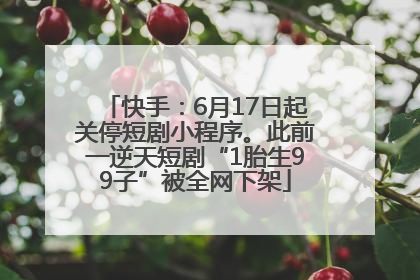 快手：6月17日起关停短剧小程序。此前一逆天短剧“1胎生99子”被全网下架