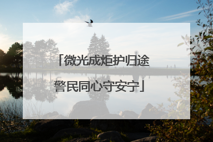 微光成炬护归途 警民同心守安宁