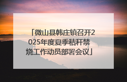 微山县韩庄镇召开2025年度夏季秸秆禁烧工作动员部署会议