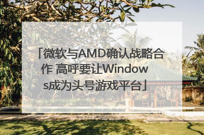 微软与AMD确认战略合作 高呼要让Windows成为头号游戏平台