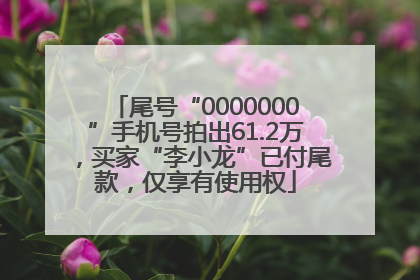 尾号“0000000”手机号拍出61.2万，买家“李小龙”已付尾款，仅享有使用权