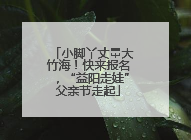 小脚丫丈量大竹海！快来报名，“益阳走娃”父亲节走起