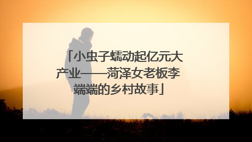 小虫子蠕动起亿元大产业——菏泽女老板李端端的乡村故事