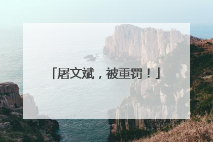 屠文斌，被重罚！