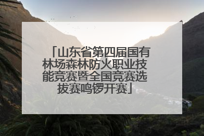 山东省第四届国有林场森林防火职业技能竞赛暨全国竞赛选拔赛鸣锣开赛