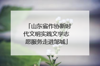 山东省作协新时代文明实践文学志愿服务走进邹城
