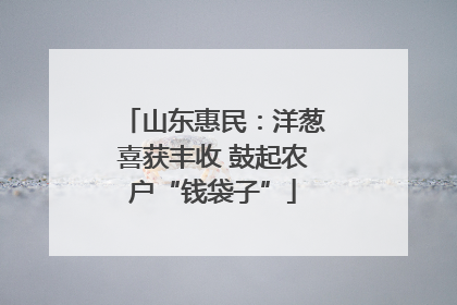 山东惠民：洋葱喜获丰收 鼓起农户“钱袋子”