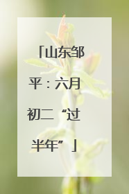山东邹平：六月初二“过半年”