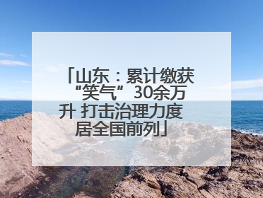 山东：累计缴获“笑气”30余万升 打击治理力度居全国前列