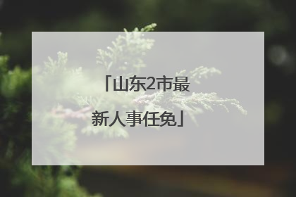 山东2市最新人事任免
