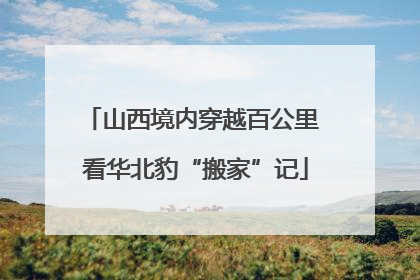 山西境内穿越百公里 看华北豹“搬家”记