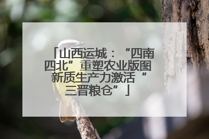 山西运城：“四南四北”重塑农业版图 新质生产力激活“三晋粮仓”