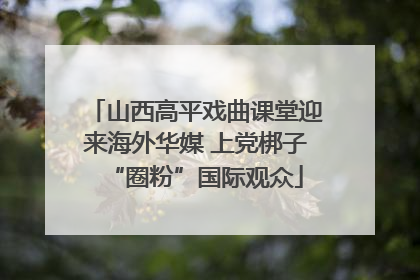 山西高平戏曲课堂迎来海外华媒 上党梆子“圈粉”国际观众