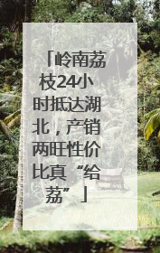 岭南荔枝24小时抵达湖北，产销两旺性价比真“给荔”