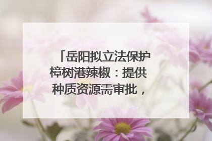 岳阳拟立法保护樟树港辣椒：提供种质资源需审批，违规最高罚5万