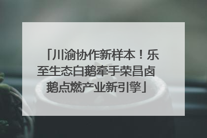 川渝协作新样本！乐至生态白鹅牵手荣昌卤鹅点燃产业新引擎