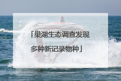 巢湖生态调查发现多种新记录物种
