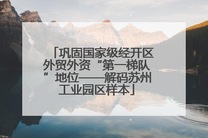 巩固国家级经开区外贸外资“第一梯队”地位——解码苏州工业园区样本