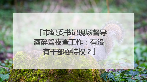 市纪委书记现场督导酒醉驾夜查工作：有没有干部耍特权？