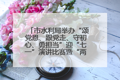 市水利局举办“颂党恩、跟党走、守初心、勇担当”迎“七一”演讲比赛暨“两优一先”表彰活动