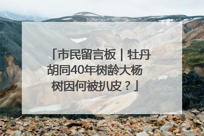 市民留言板｜牡丹胡同40年树龄大杨树因何被扒皮？