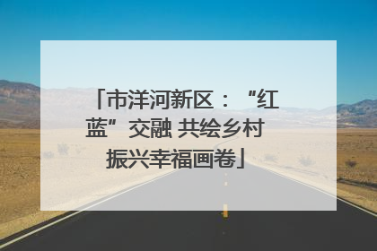 市洋河新区：“红蓝”交融 共绘乡村振兴幸福画卷