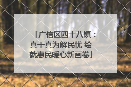 广信区四十八镇：真干真为解民忧 绘就惠民暖心新画卷